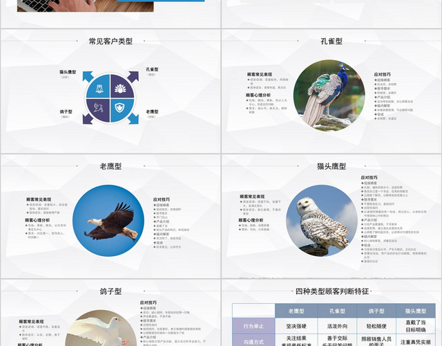 白色简洁风员工培训客户类型分析PPT模板