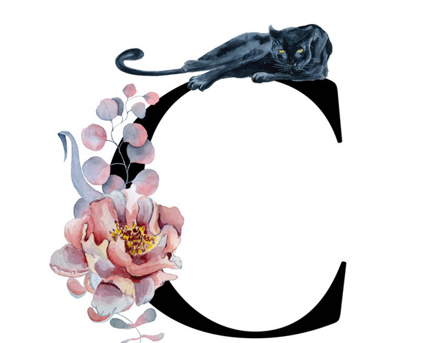 黑色字母C豹子花装饰