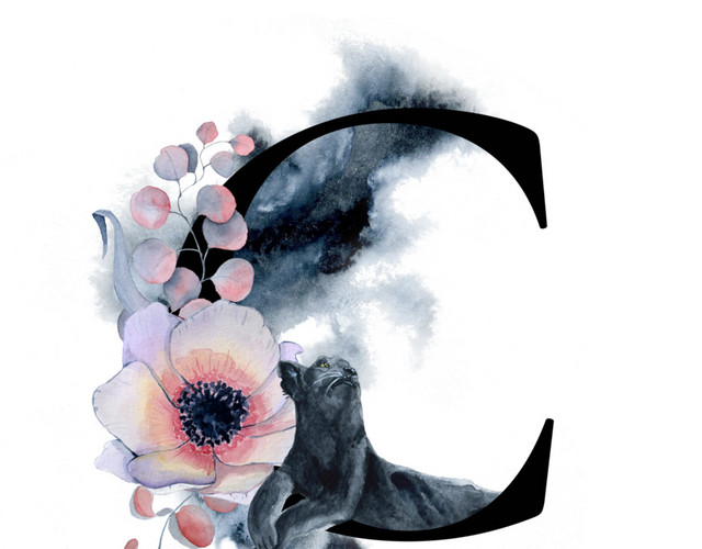 黑色字母C豹子花装饰