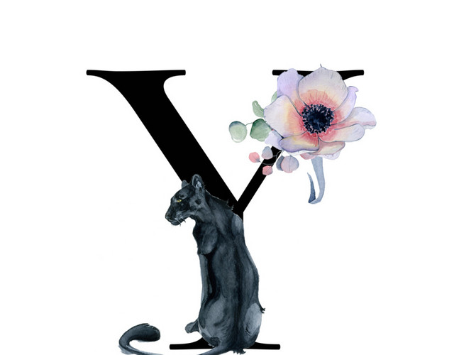 黑色字母Y素材