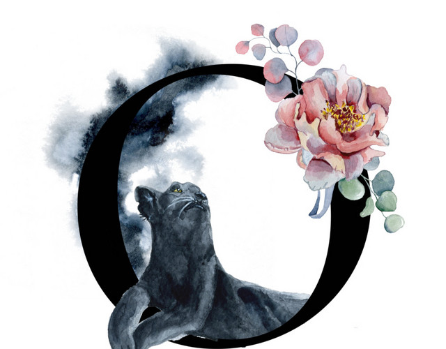 黑色字母O素材
