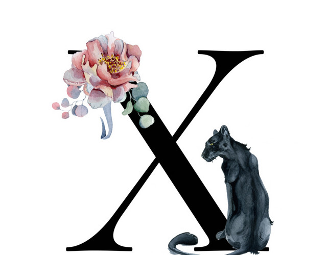 黑色字母X豹子花装饰