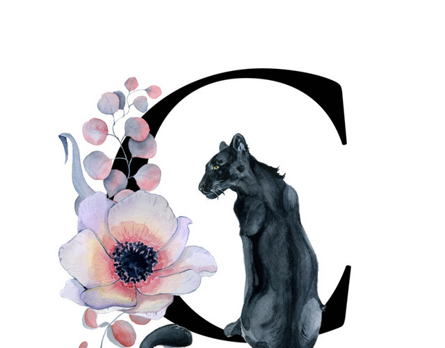 黑色字母C素材