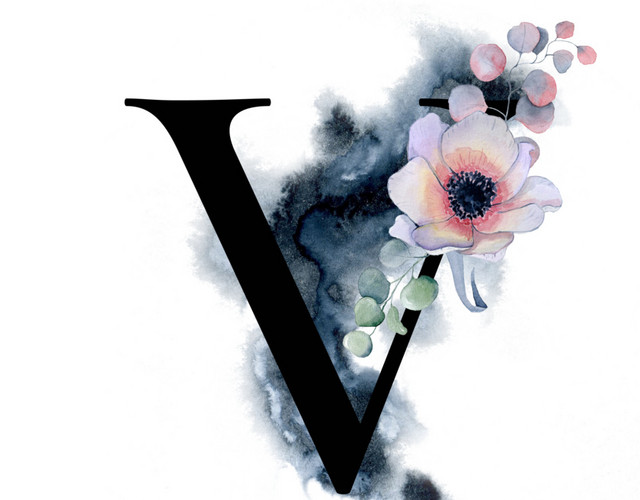 黑色字母V素材