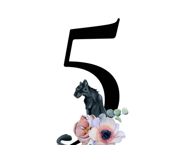 彩色花数字5