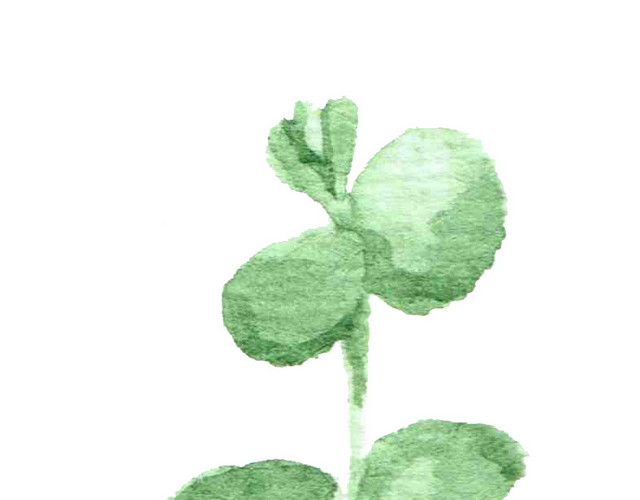 手绘卡通树藤素材