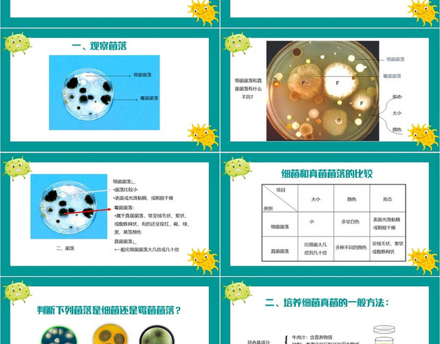 绿色卡通简约风细菌和真菌的分布细菌PPT模板