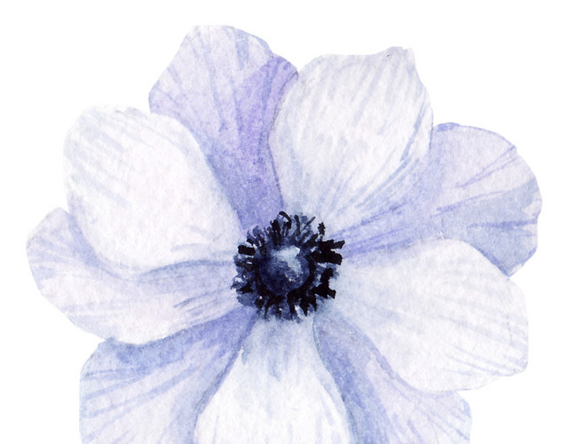清新手绘鲜花花朵设计素材
