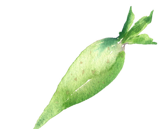 卡通手绘蔬菜装饰海报设计