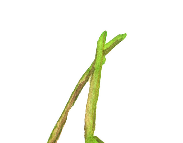 卡通手绘蔬菜装饰海报设计