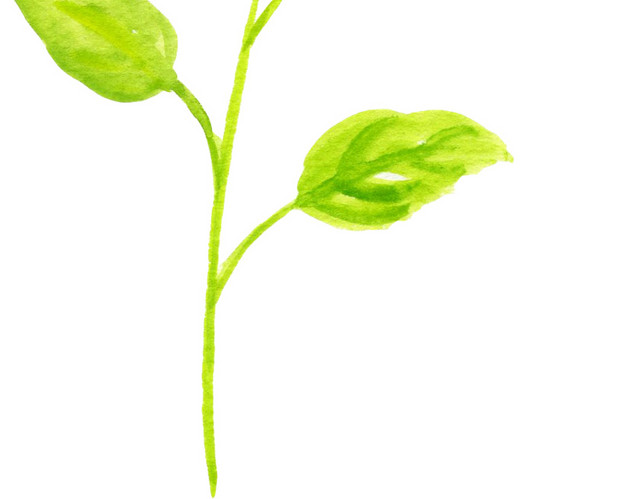 卡通树叶文艺风插画