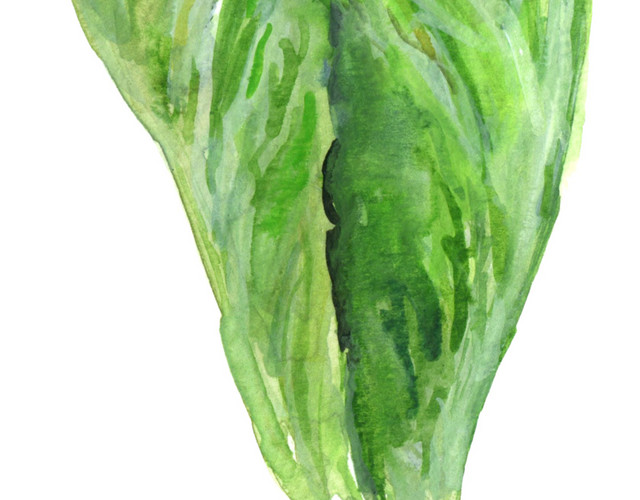 卡通手绘蔬菜装饰海报设计