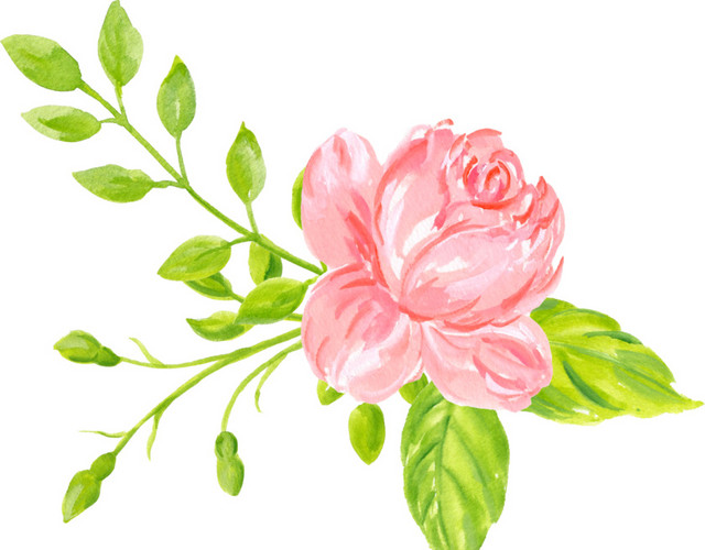 手绘卡通装饰花草装饰海报设计