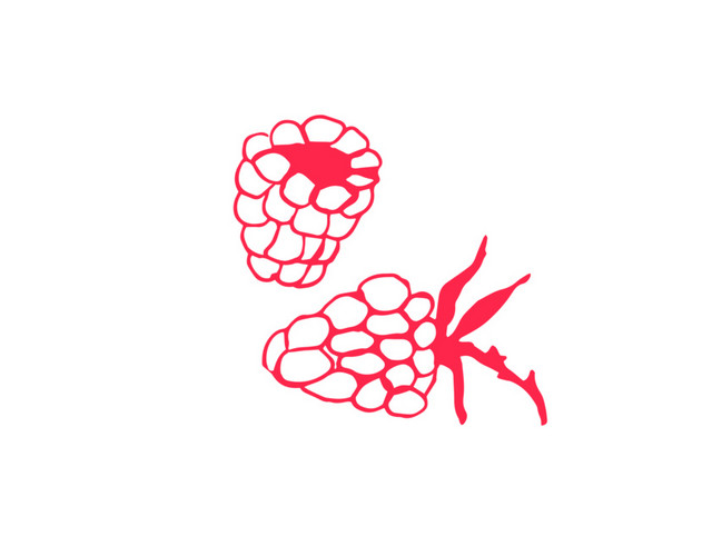 水果桑葚简笔画