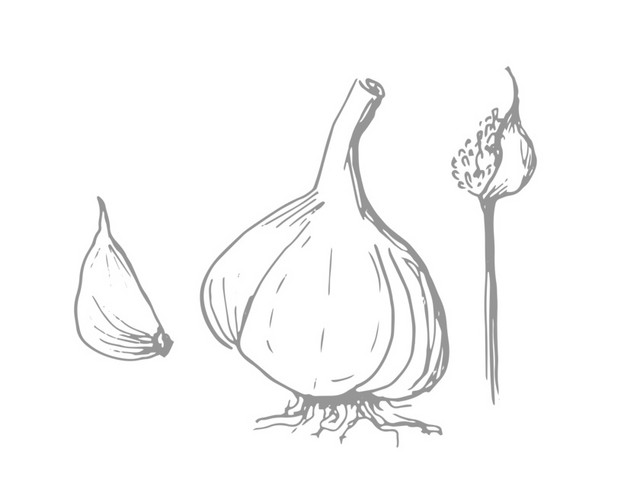 蔬菜调味品