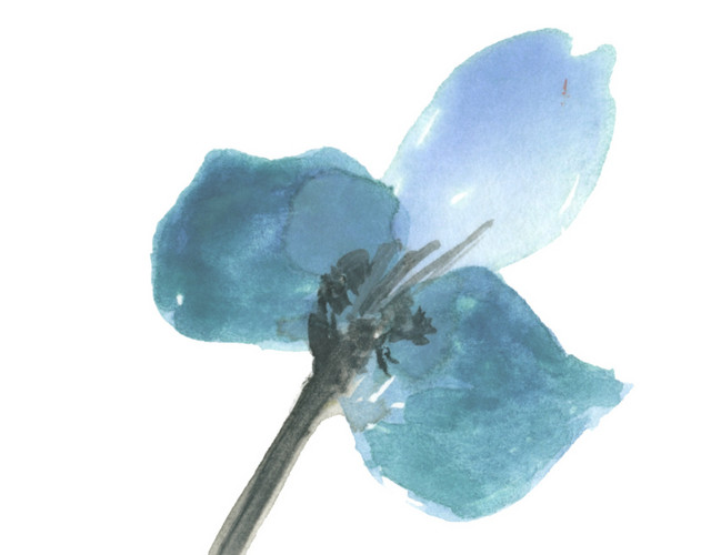 手绘卡通装饰花瓣花草装饰海报设计