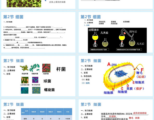 浅蓝色细菌研究教学PPT细菌PPT