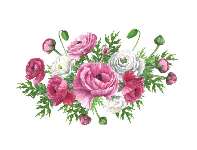 彩色手绘植物花朵树叶水墨插画素材