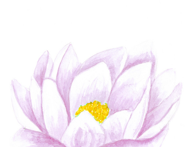 粉色手绘荷花水彩插画
