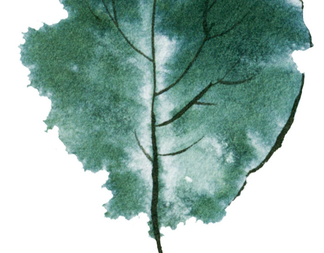 手绘植物树叶水墨插画素材