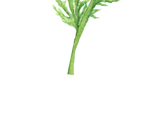 绿色手绘植物花蕾水墨插画素材