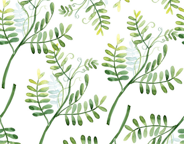 绿色清新植物插画背景素材