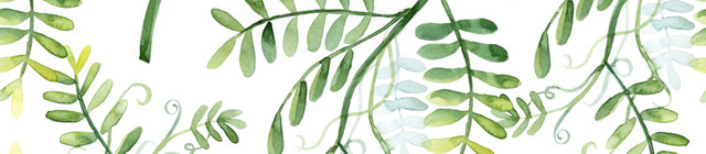 绿色清新植物插画背景素材