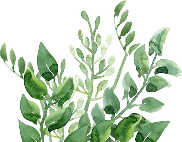 绿色清新植物水彩插画素材