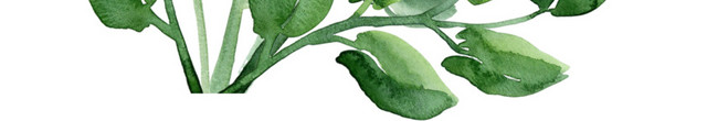 绿色清新植物水彩插画素材