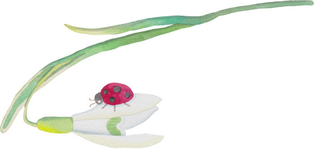 白色清新花朵水彩插画素材