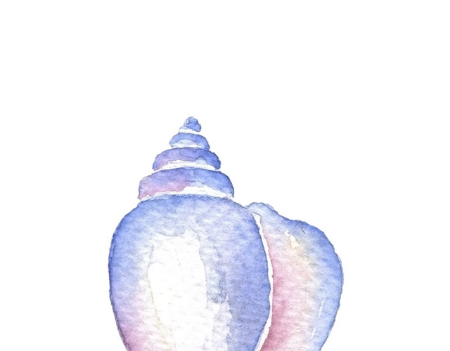 紫色手绘海螺水彩插画