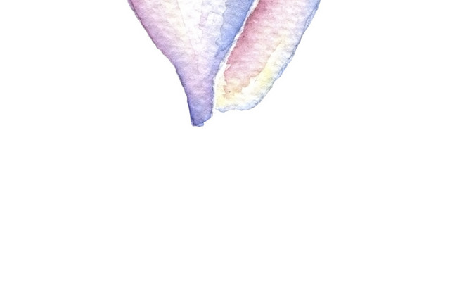 紫色手绘海螺水彩插画