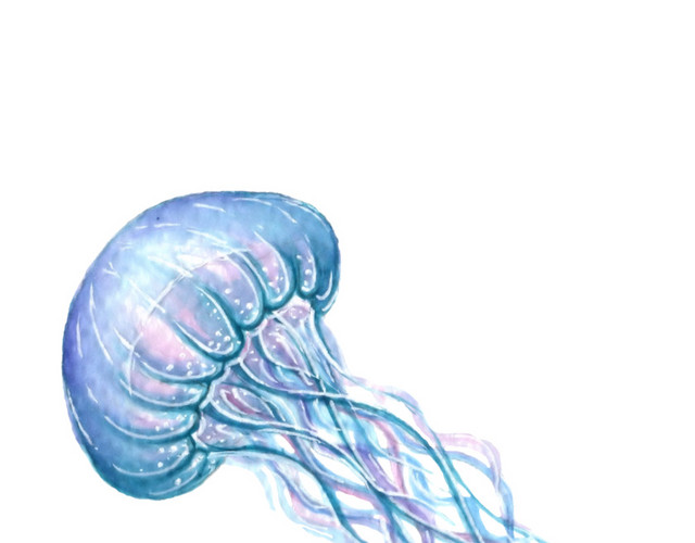蓝色手绘水母水彩插画