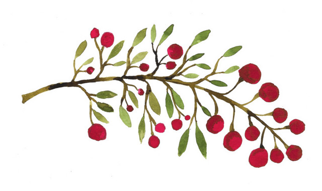 红色植物果实水彩插画
