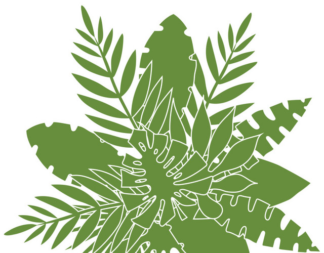 手绘热带植物叶子素材