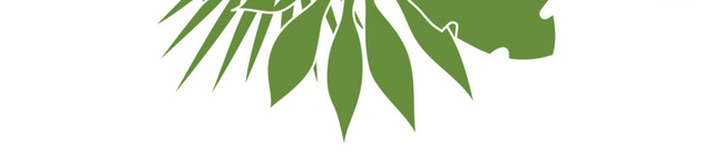 手绘热带植物叶子素材