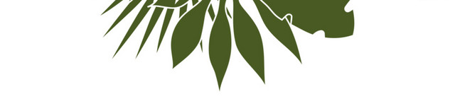 手绘热带植物叶子素材