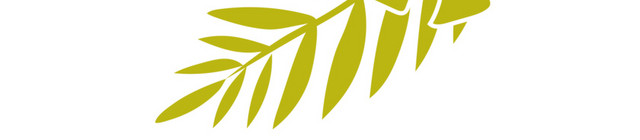 手绘热带植物叶子素材