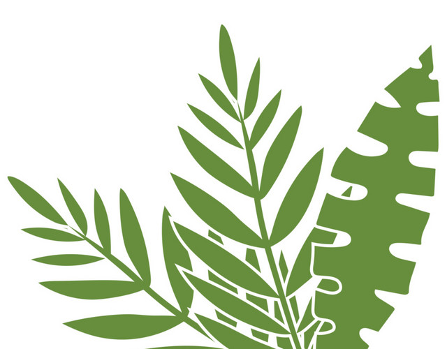 手绘热带植物叶子素材