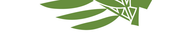手绘热带植物叶子素材