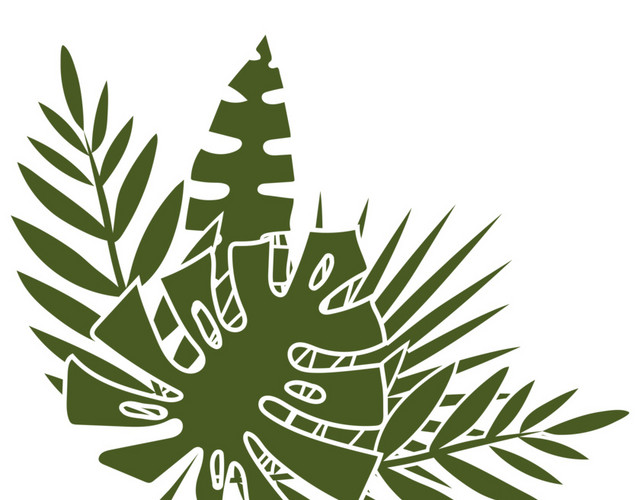 手绘热带植物叶子素材
