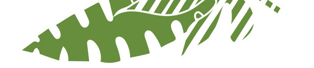 手绘热带植物叶子素材