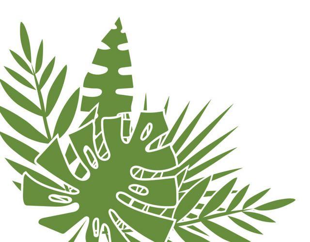手绘热带植物叶子素材
