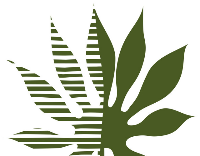 手绘热带植物叶子素材