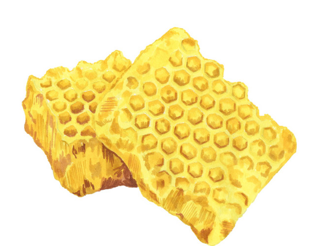 黄油素材