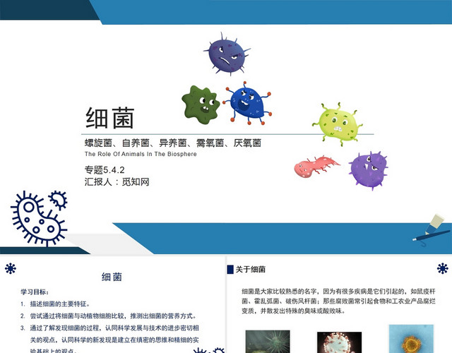 蓝色细菌教学研究PPT细菌PPT