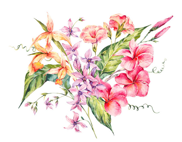 彩色花朵花瓣装饰