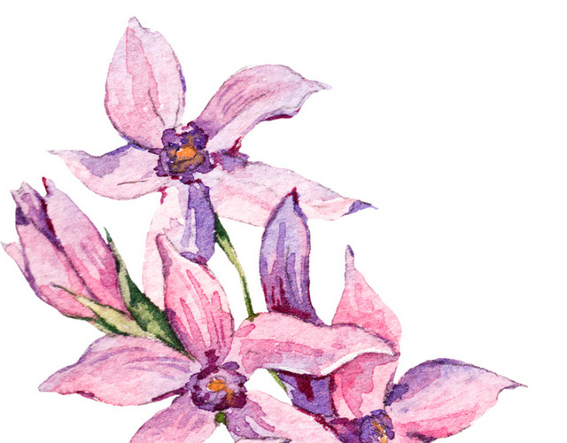 粉色百合花装饰