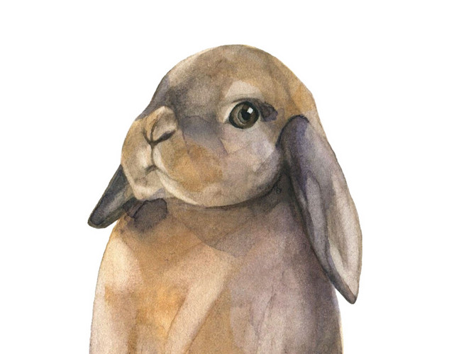 纯色手绘卡通兔子