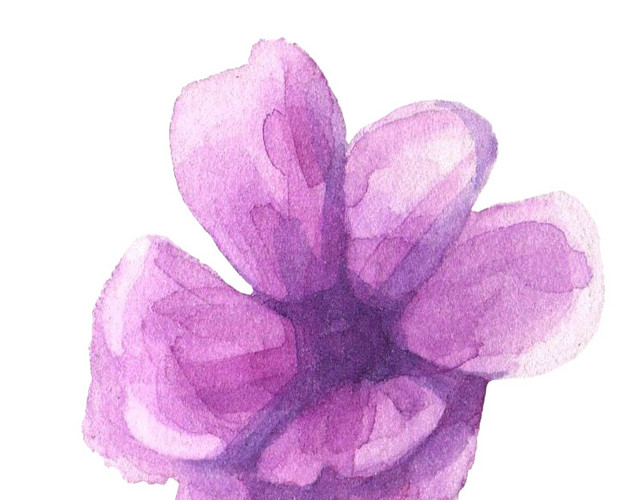 紫色水彩手绘花朵素材